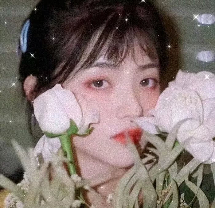 奉献 在线观看